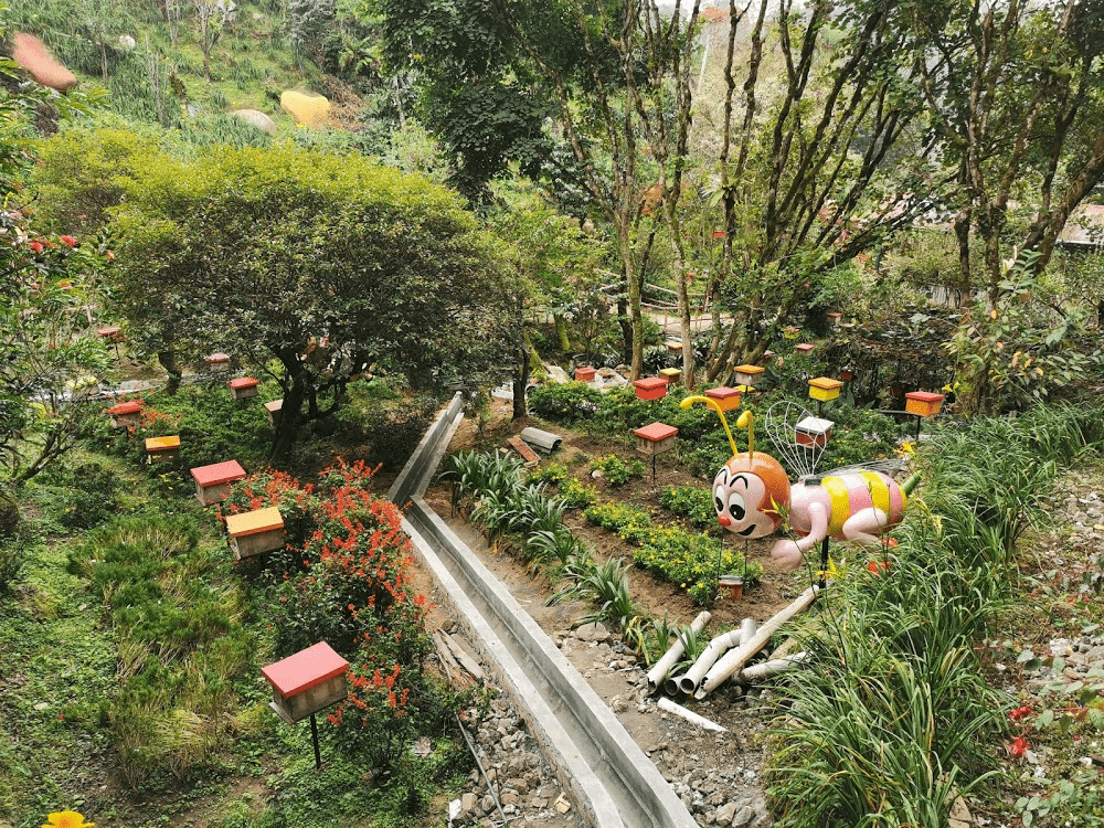 Honey Bee Farm