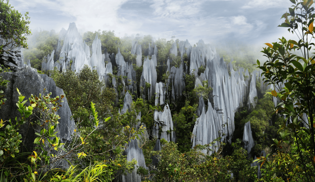 Mulu National Park 