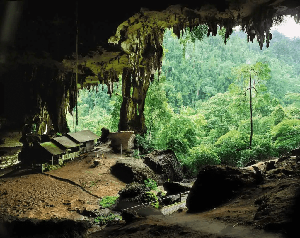 Niah National Park