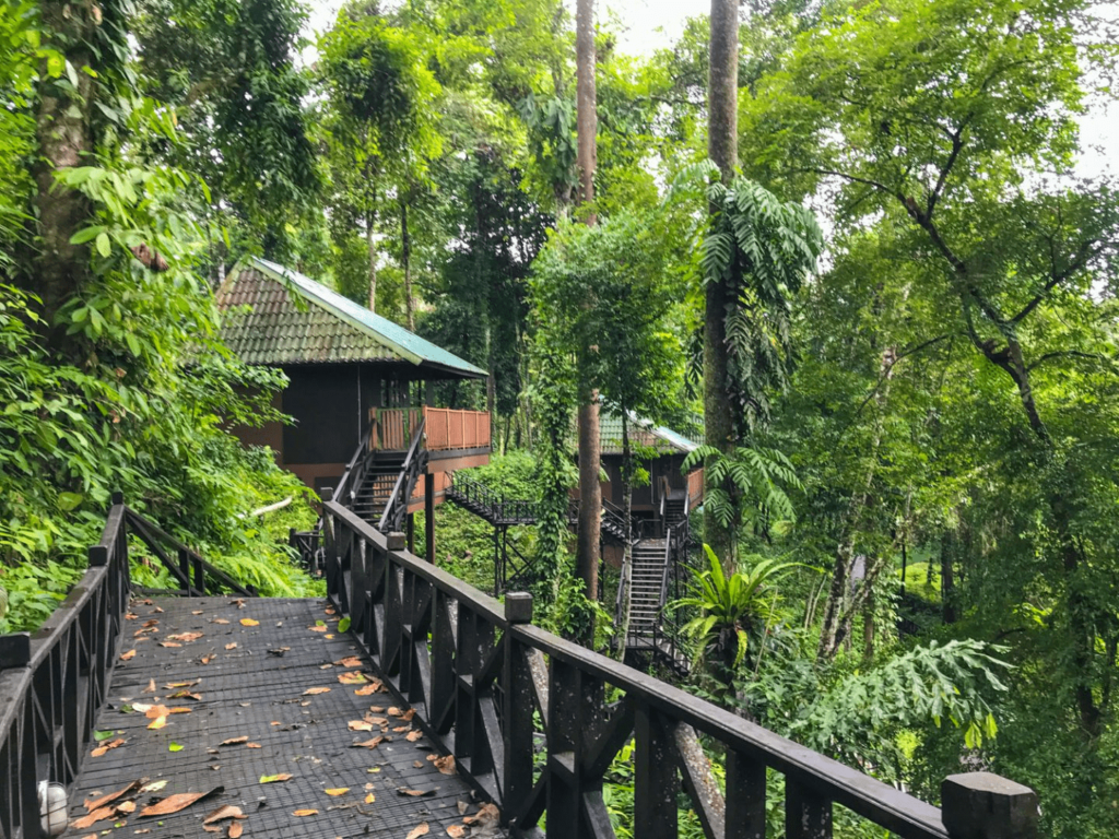 Tabin Wildlife Reserve 