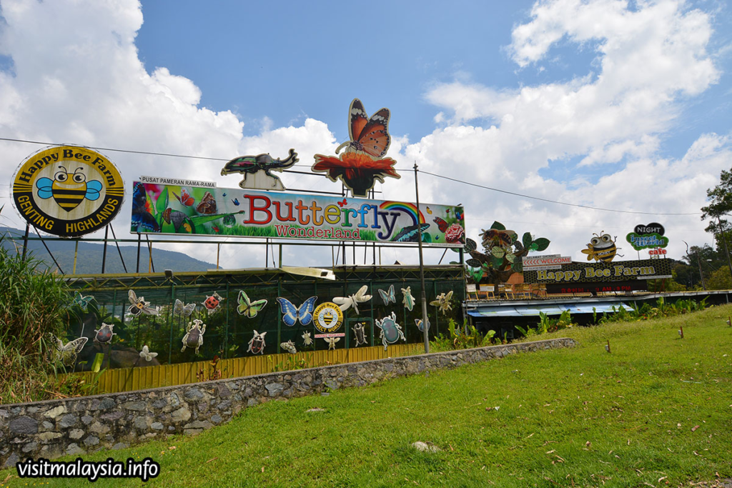 Butterfly Wonderland