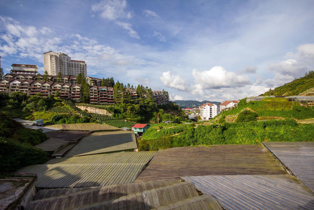 View of surroundings at Kea Farm