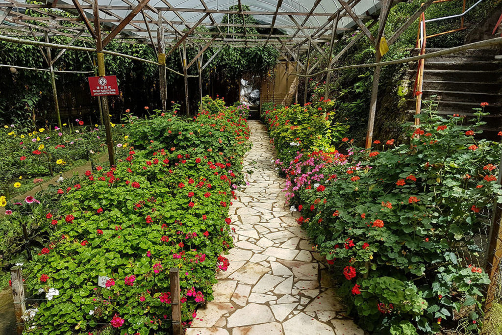 Rose Valley Garden