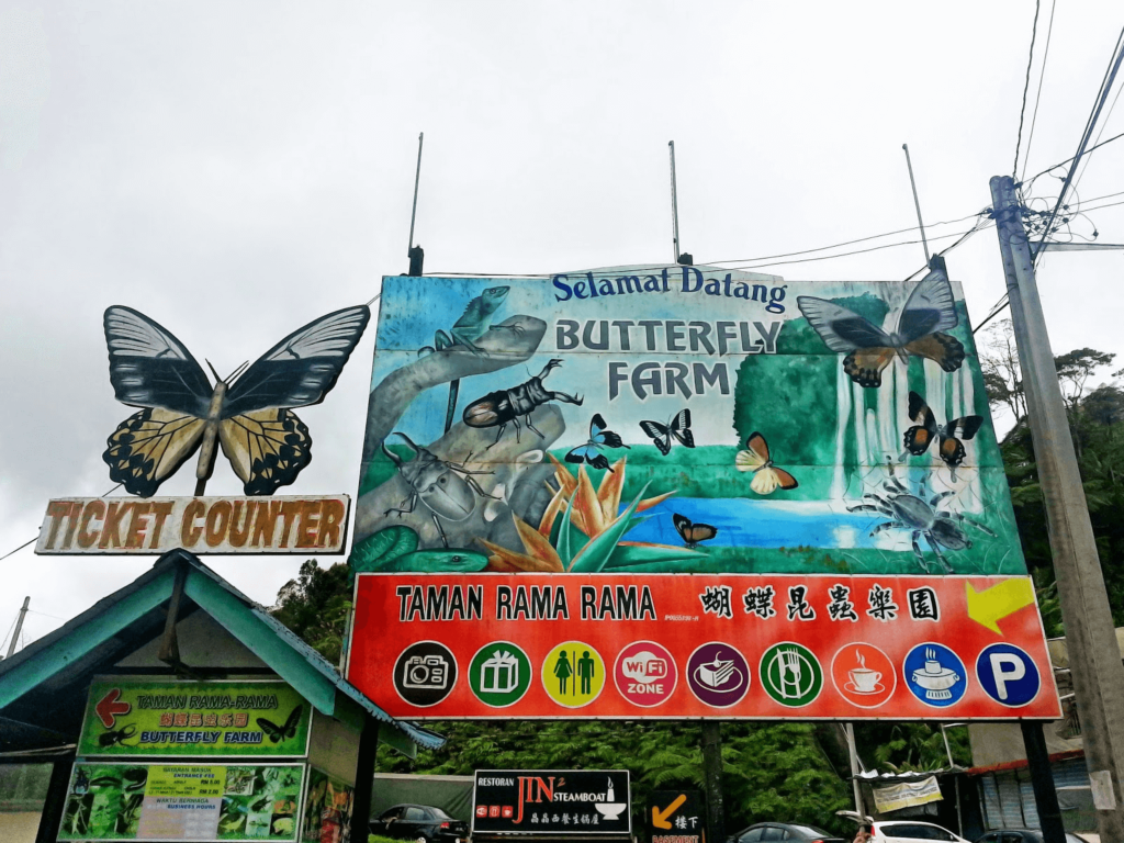 Cameron Highlands Butterfly Farm