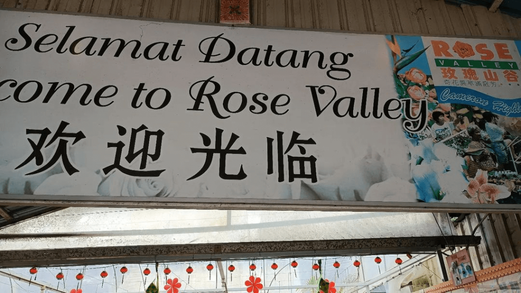 Rose Valley - Garden in Brinchang, Pahang