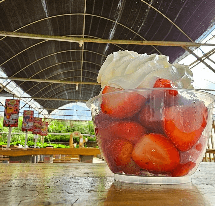 Strawberry Dessert from Big Red Strawberry Farm