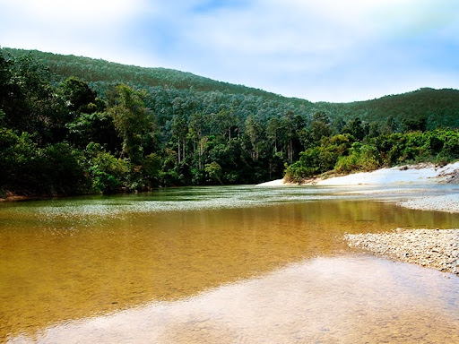 Endau National Park