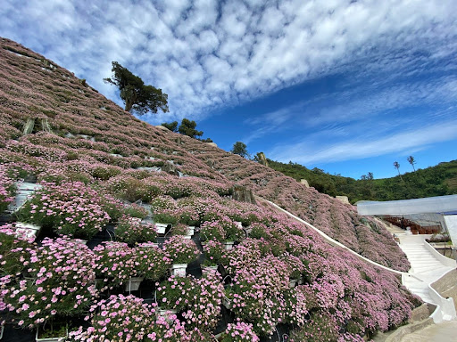 Flora Park