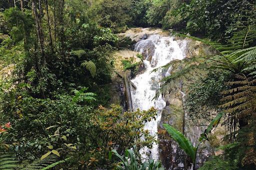 Robinson Falls