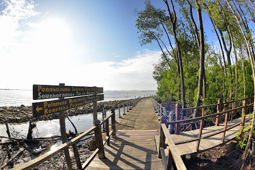 Tanjung Piai