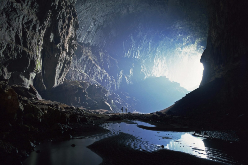 Gunung Mulu National Spark