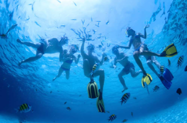 Six divers swimming underwater and are surrounded by many species of fish